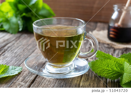 A cup of melissa tea with fresh melissa twigs 51043720