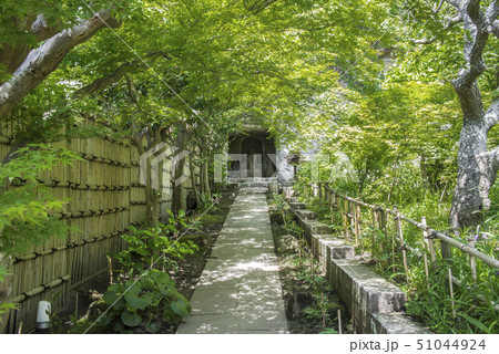 円覚寺塔頭　龍隠庵（鎌倉市山ノ内） 51044924