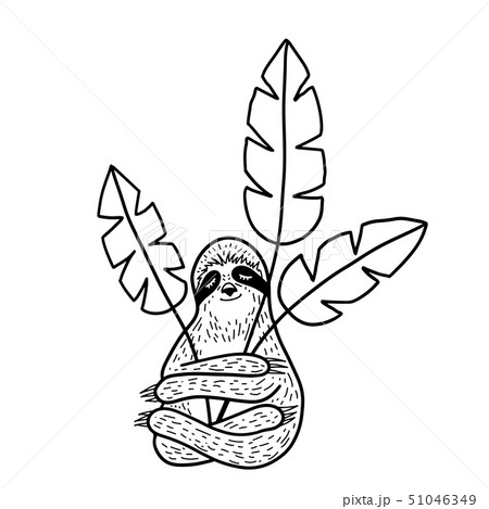 Cute hand drawn sloth sleeping and hugging troplical leaves. Outline doodle style. Vector 51046349