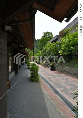 仙巌園 島津家別邸 大名庭園 仙巌園 島津家別邸 大名庭園 51046542