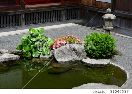 仙巌園　島津家別邸　大名庭園 51046557