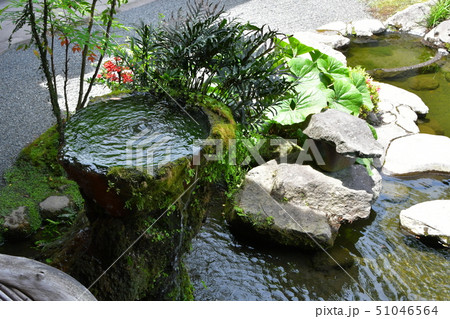 仙巌園 島津家別邸 大名庭園 仙巌園 島津家別邸 大名庭園 51046564