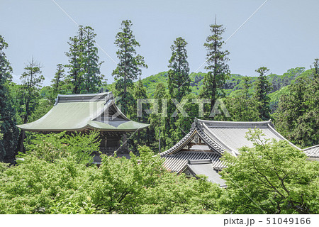 円覚寺塔頭 龍隠庵(鎌倉市山ノ内) 円覚寺塔頭 龍隠庵(鎌倉市山ノ内) 51049166