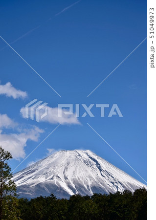 富士山と森林〜Mt.Fuji and Forest. 富士山と森林〜Mt.Fuji and Forest. 51049973