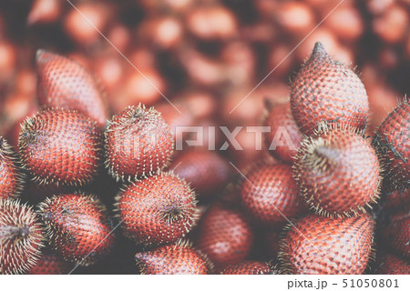 Salacca wallichiana is asia fruit at fruit market 51050801