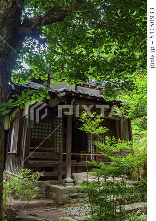 【神奈川県】北鎌倉 明月院 北条時頼の廟所 【神奈川県】北鎌倉 明月院 北条時頼の廟所 51050933