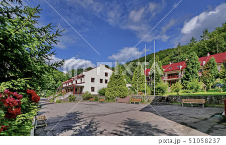 Asphalt track with wooden benches and high conifer Asphalt track with wooden benches and high conifer 51058237