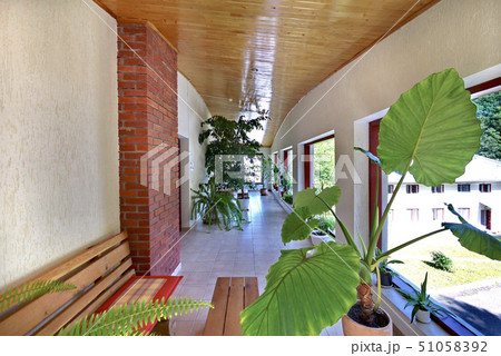 A spacious and bright greenhouse with flowers grow 51058392