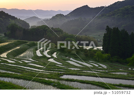 朝の大山千枚田 【千葉県鴨川市】 田植え直後 51059732