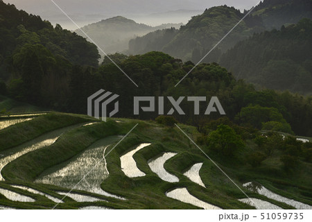 朝の大山千枚田 【千葉県鴨川市】 田植え直後 朝の大山千枚田 【千葉県鴨川市】 田植え直後 51059735