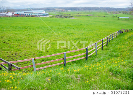 北海道　サラブレッド銀座　駐車公園からの眺め 51075231