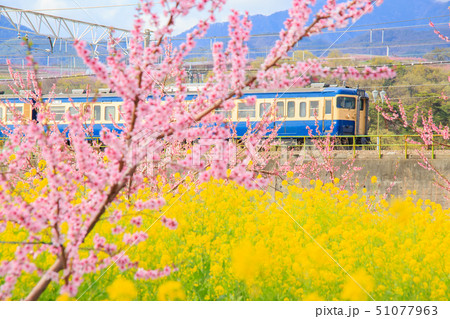 春の中央本線を走る115系 51077963