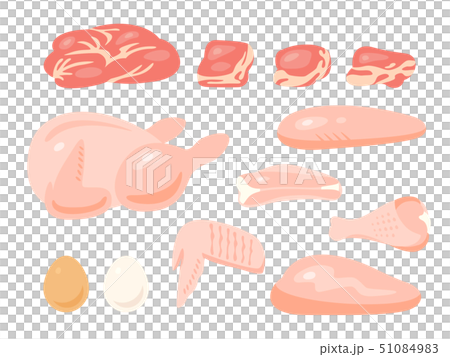 鶏肉のイラストセット（線なし） 51084983