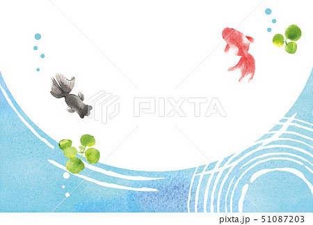 金魚 夏イメージ 背景イラストのイラスト素材