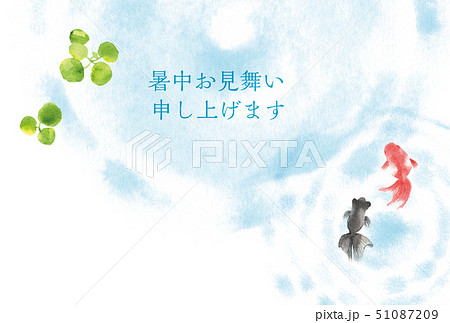 暑中お見舞い　金魚 51087209