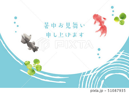 暑中お見舞い 金魚 暑中お見舞い 金魚 51087935