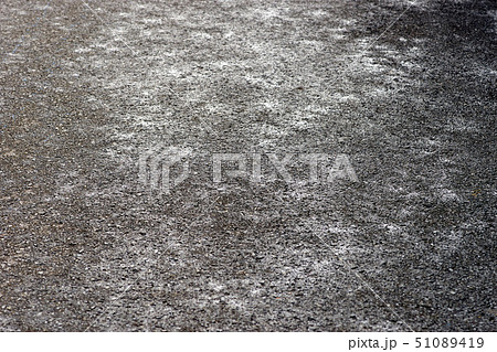 霜の降りた舗装道路 51089419
