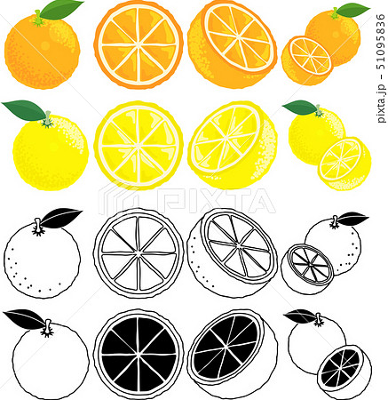 オレンジとグレープフルーツの可愛いアイコンのイラスト素材