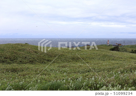 北海道　利尻島　仙法志埼灯台 51099234