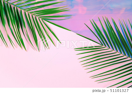 Green palm leaves on pastel colored holographic 51101327