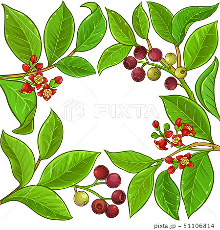 sandalwood vector frame sandalwood vector frame 51106814
