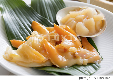 アオヤギの刺身 アオヤギの刺身 51109102