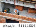 View of masons laying bricks at construction site 51111684