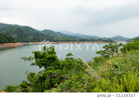 宮ヶ瀬湖 51116337