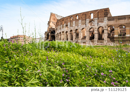 ローマ市内の古代遺跡(イタリア) コロッセオと紫の花 ローマ市内の古代遺跡(イタリア) コロッセオと紫の花 51129125
