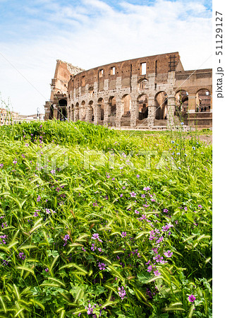 ローマ市内の古代遺跡(イタリア) コロッセオと紫の花 ローマ市内の古代遺跡(イタリア) コロッセオと紫の花 51129127