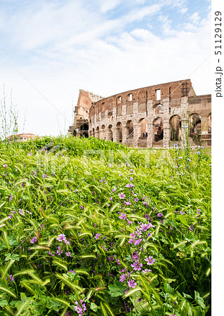 ローマ市内の古代遺跡(イタリア) コロッセオと紫の花 ローマ市内の古代遺跡(イタリア) コロッセオと紫の花 51129129