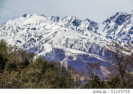 長野県　白馬村　風景　八方尾根 51135758