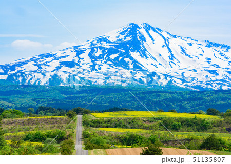 菜の花と鳥海山 菜の花と鳥海山 51135807