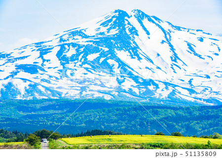 菜の花と鳥海山 菜の花と鳥海山 51135809