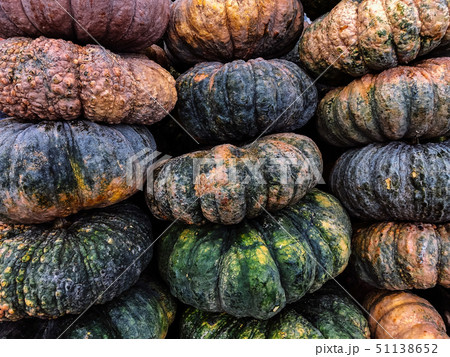 Pile of Thai pumpkins ribbed rough skin 51138652