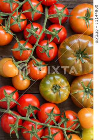 Fresh tomatoes 51144900