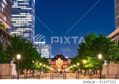 《東京都》丸の内・行幸通りの夜景《新緑シーズン》 51147331