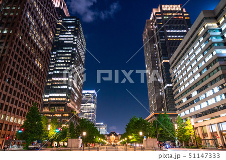 《東京都》丸の内・行幸通りの夜景《新緑シーズン》 51147333