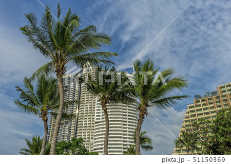 Pattaya skyline with palm trees in the foreground 51150369