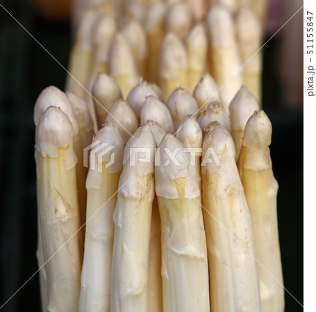 Bunch of fresh white asparagus shoots close up 51155847