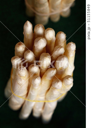 Bunch of fresh white asparagus shoots close up 51155849