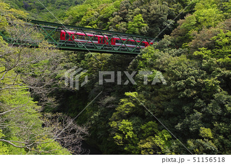 鉄橋を渡る箱根登山鉄道 鉄橋を渡る箱根登山鉄道 51156518