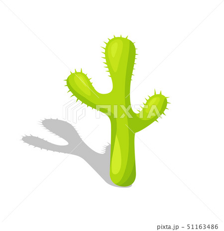 Mexican Cactus with Spikes, Isolated Desert Plant Mexican Cactus with Spikes, Isolated Desert Plant 51163486