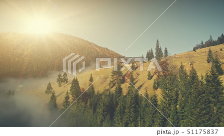 Sunny wildlife highland misty slope aerial view 51175837