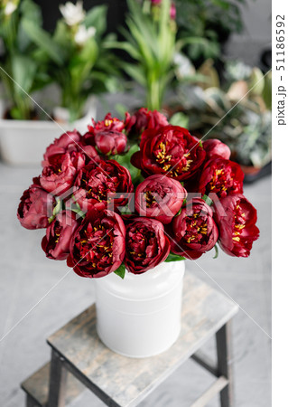 Red peonies in a metal vase. Beautiful peony flower for catalog or online store. Floral shop concept Red peonies in a metal vase. Beautiful peony flower for catalog or online store. Floral shop concept 51186592