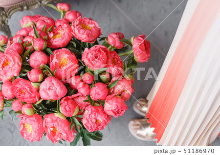 Coral peonies in a metal vase. Beautiful peony flower for catalog or online store. Floral shop Coral peonies in a metal vase. Beautiful peony flower for catalog or online store. Floral shop 51186970