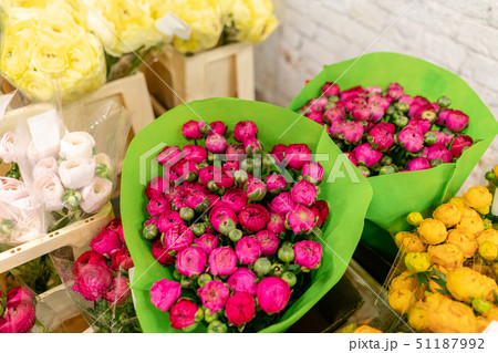 Warehouse refrigerator, Wholesale flowers for flower shops. Persian Buttercup, Ranunculusin a Warehouse refrigerator, Wholesale flowers for flower shops. Persian Buttercup, Ranunculusin a 51187992