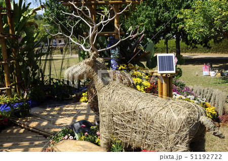 Small pocket garden made from recycle material 51192722