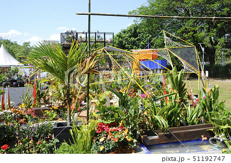 Small pocket garden made from recycle material Small pocket garden made from recycle material 51192747