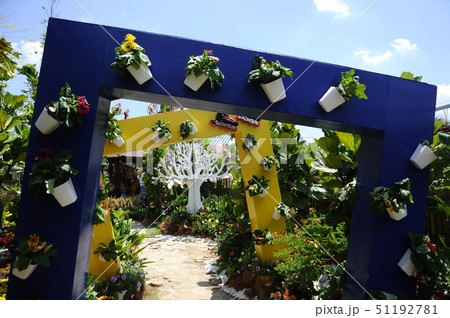 Small pocket garden made from recycle material 51192781